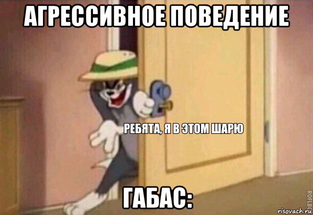 агрессивное поведение габас:, Мем    Ребята я в этом шарю