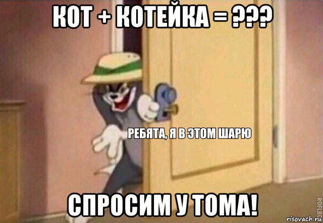 кот + котейка = ??? спросим у тома!, Мем    Ребята я в этом шарю