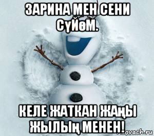 зарина мен сени сүйөм. келе жаткан жаңы жылың менен!