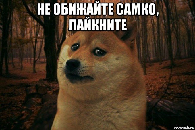 не обижайте самко, лайкните , Мем SAD DOGE