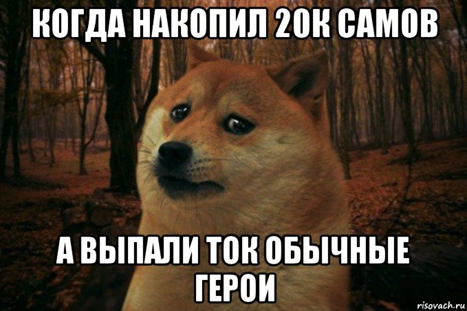 когда накопил 20к самов а выпали ток обычные герои, Мем SAD DOGE