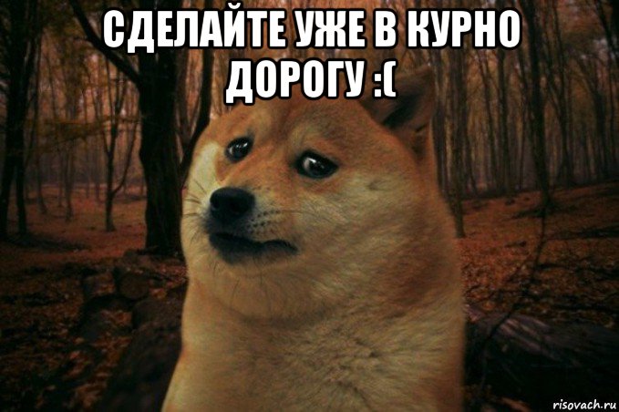 сделайте уже в курно дорогу :( , Мем SAD DOGE