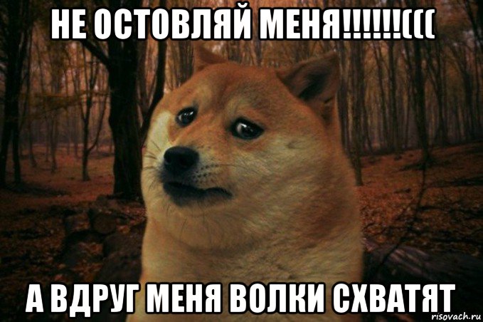 не остовляй меня!!!!!!((( а вдруг меня волки схватят, Мем SAD DOGE