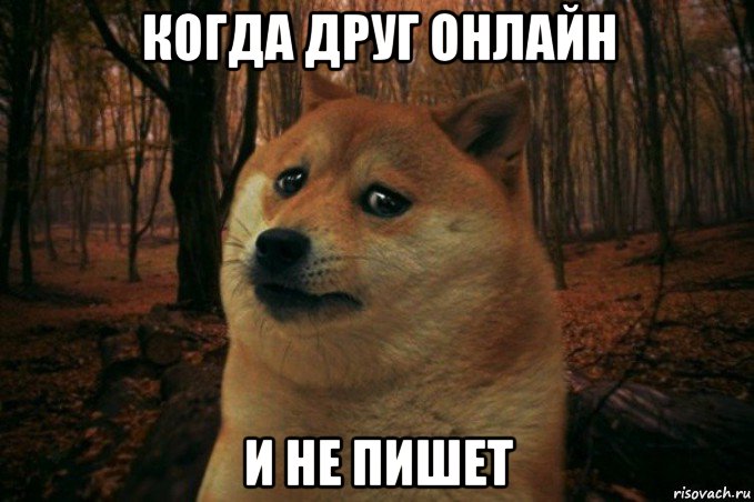 когда друг онлайн и не пишет, Мем SAD DOGE