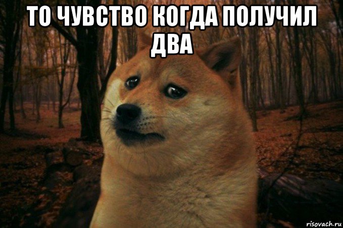 то чувство когда получил два , Мем SAD DOGE