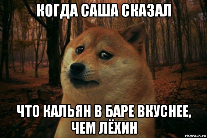 когда саша сказал что кальян в баре вкуснее, чем лёхин, Мем SAD DOGE