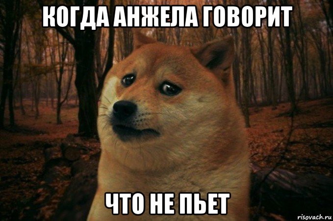 когда анжела говорит что не пьет, Мем SAD DOGE