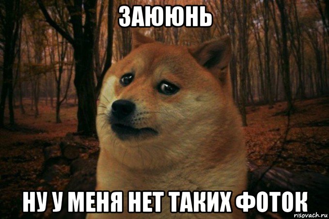 заююнь ну у меня нет таких фоток, Мем SAD DOGE