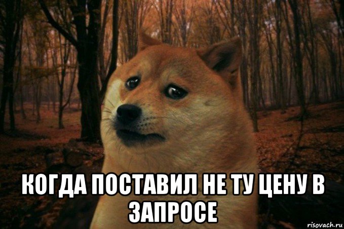  когда поставил не ту цену в запросе, Мем SAD DOGE