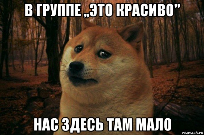 в группе ,,это красиво'' наc здесь там мало, Мем SAD DOGE