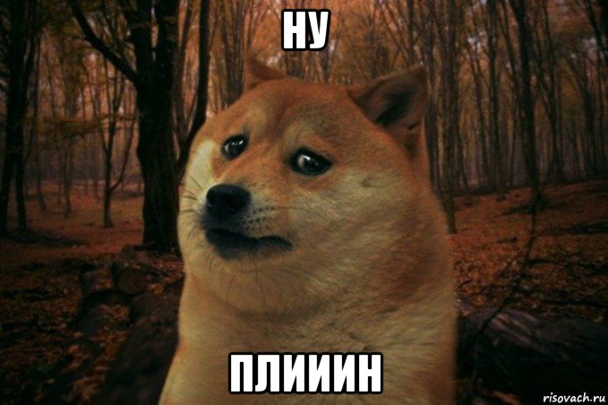 ну плииин, Мем SAD DOGE