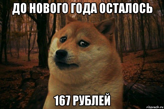 до нового года осталось 167 рублей, Мем SAD DOGE