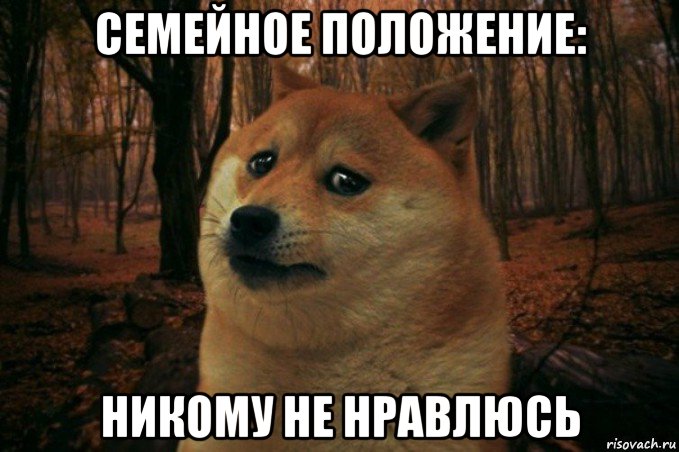 семейное положение: никому не нравлюсь, Мем SAD DOGE