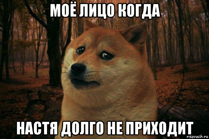 моё лицо когда настя долго не приходит, Мем SAD DOGE