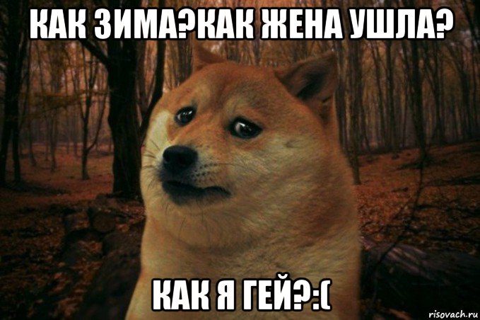 как зима?как жена ушла? как я гей?:(, Мем SAD DOGE