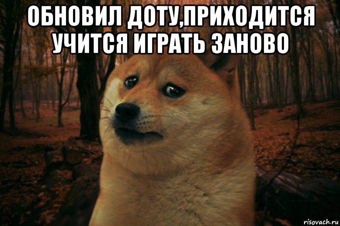 обновил доту,приходится учится играть заново , Мем SAD DOGE