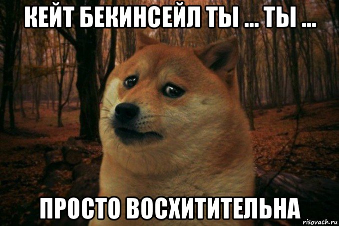 кейт бекинсейл ты ... ты ... просто восхитительна, Мем SAD DOGE