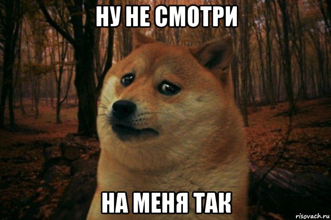 ну не смотри на меня так, Мем SAD DOGE