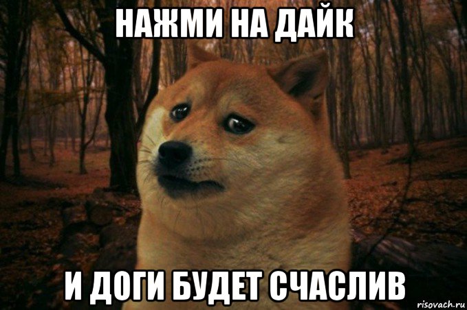 нажми на дайк и доги будет счаслив, Мем SAD DOGE