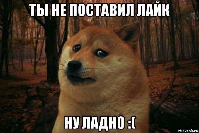 ты не поставил лайк ну ладно :(, Мем SAD DOGE