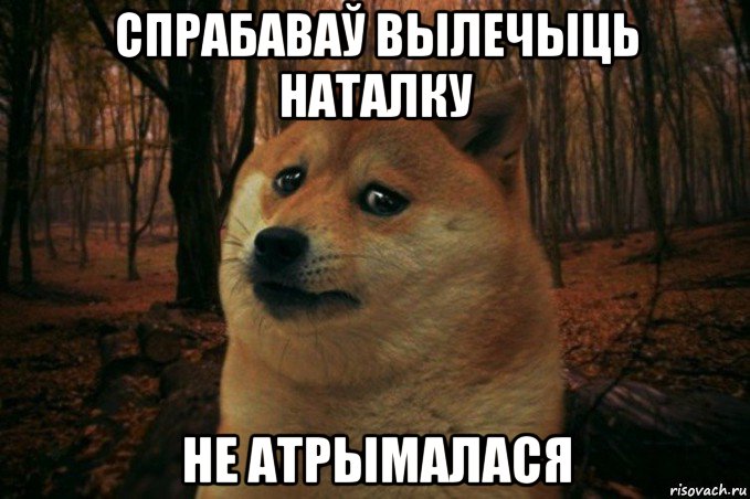 спрабаваў вылечыць наталку не атрымалася, Мем SAD DOGE