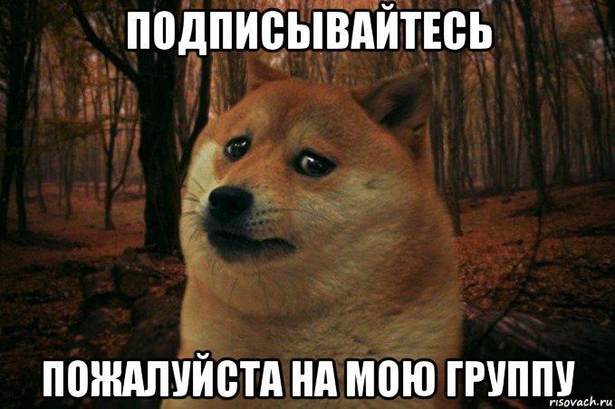 подписывайтесь пожалуйста на мою группу, Мем SAD DOGE