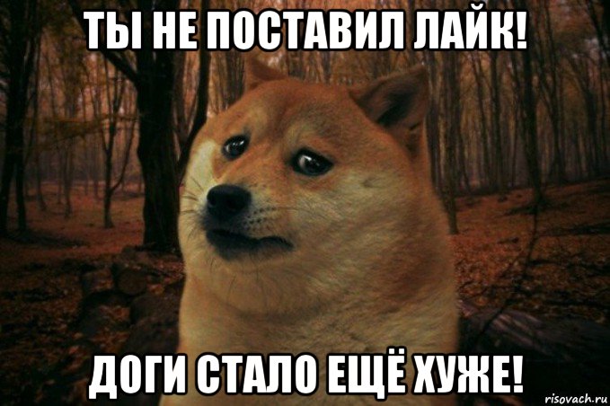 ты не поставил лайк! доги стало ещё хуже!, Мем SAD DOGE