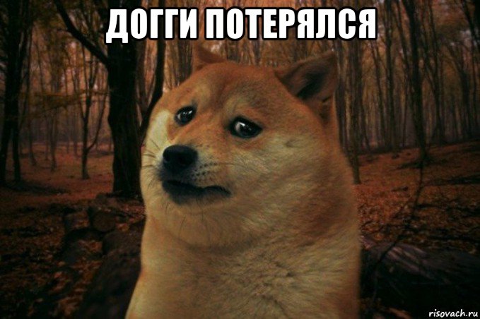 догги потерялся , Мем SAD DOGE