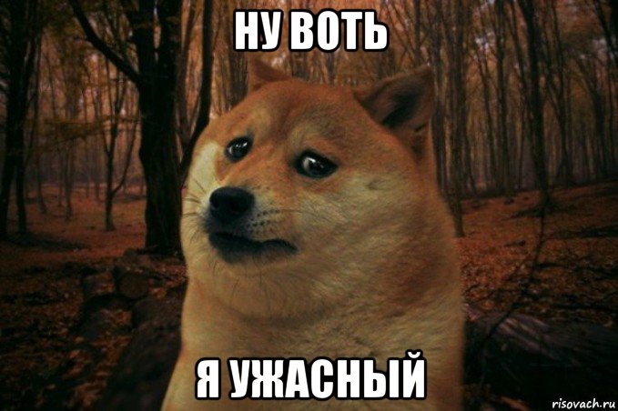 ну воть я ужасный, Мем SAD DOGE