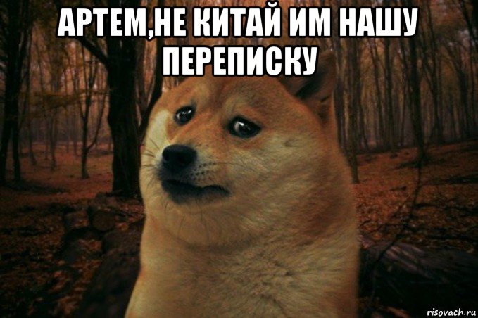 артем,не китай им нашу переписку , Мем SAD DOGE