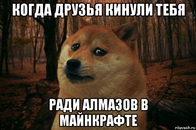 когда друзья кинули тебя ради алмазов в майнкрафте, Мем SAD DOGE