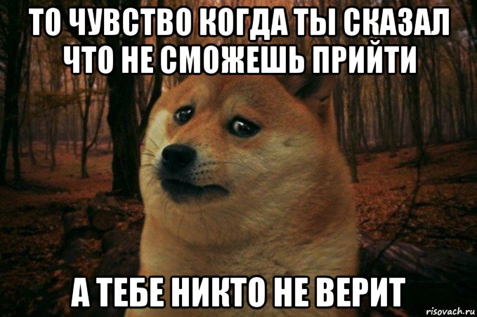 то чувство когда ты сказал что не сможешь прийти а тебе никто не верит, Мем SAD DOGE