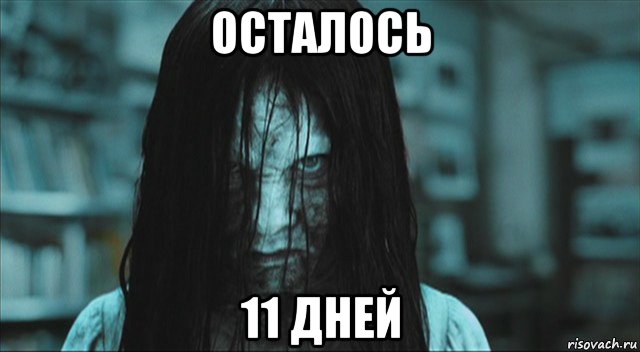 осталось 11 дней