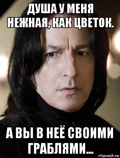 душа у меня нежная, как цветок. а вы в неё своими граблями..., Мем Северус Снейп Снегг