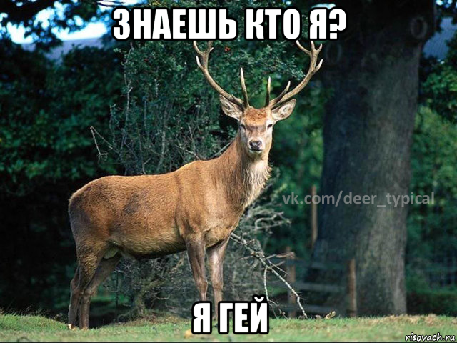 знаешь кто я? я гей