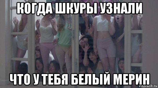 когда шкуры узнали что у тебя белый мерин, Мем Шкуры узнали