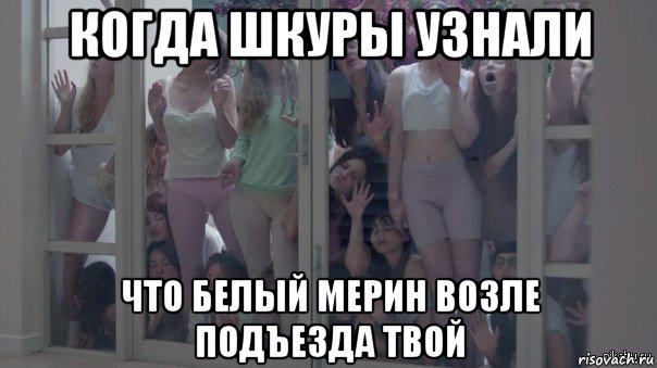 когда шкуры узнали что белый мерин возле подъезда твой, Мем Шкуры узнали