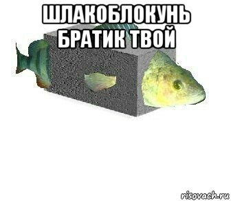 шлакоблокунь братик твой 