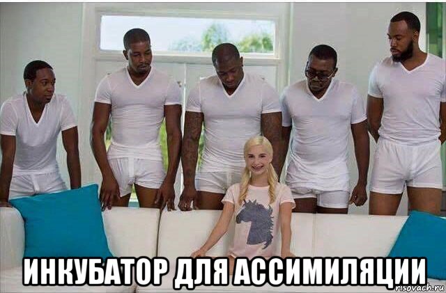  инкубатор для ассимиляции