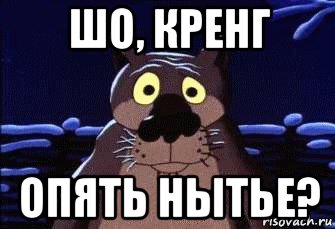 шо, кренг опять нытье?