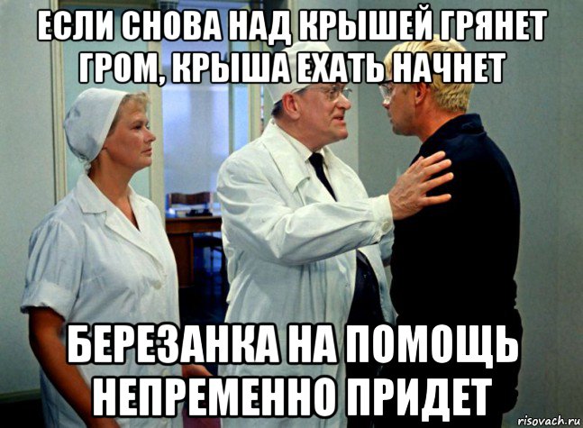 если снова над крышей грянет гром, крыша ехать начнет березанка на помощь непременно придет, Мем Шурик