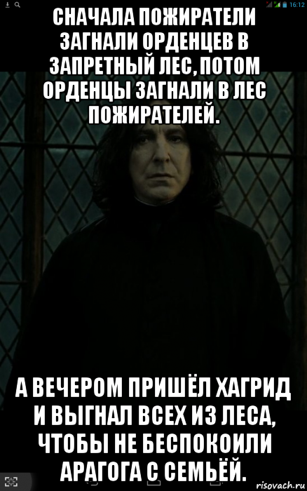 сначала пожиратели загнали орденцев в запретный лес, потом орденцы загнали в лес пожирателей. а вечером пришёл хагрид и выгнал всех из леса, чтобы не беспокоили арагога с семьёй.