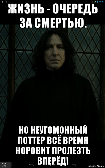 жизнь - очередь за смертью. но неугомонный поттер всё время норовит пролезть вперёд!