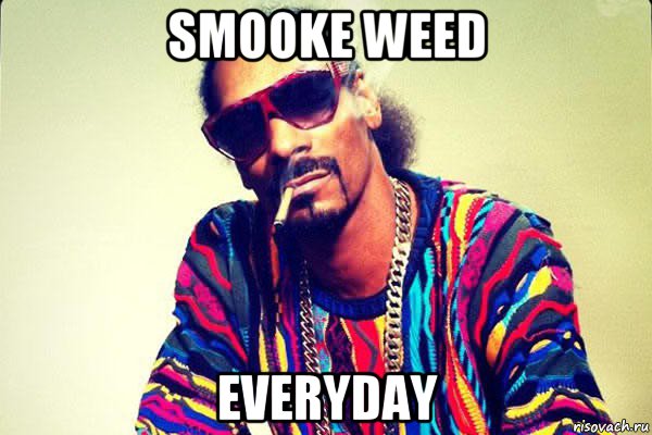 smooke weed everyday, Мем snoop dogg