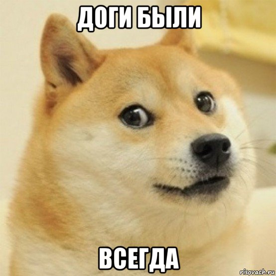 доги были всегда