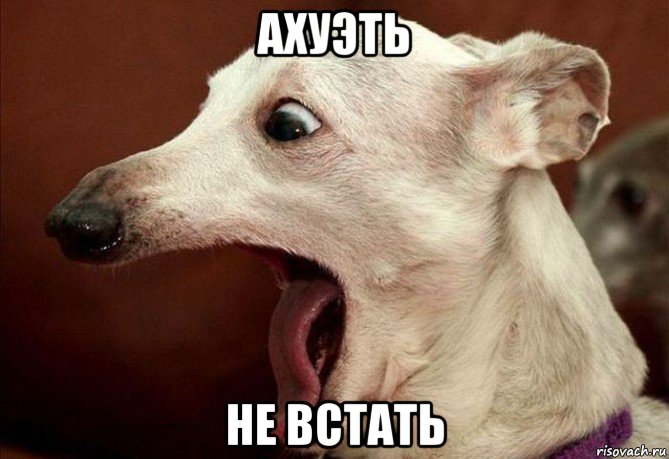 ахуэть не встать