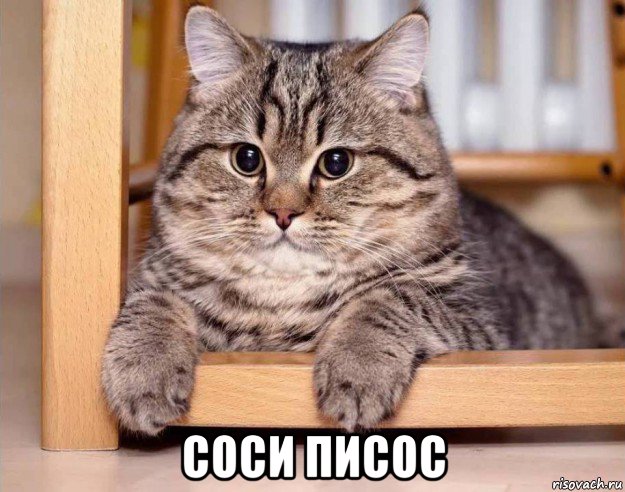  соси писос