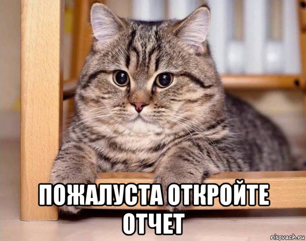  пожалуста откройте отчет