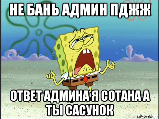 не бань админ пджж ответ админа я сотана а ты сасунок, Мем Спанч Боб плачет