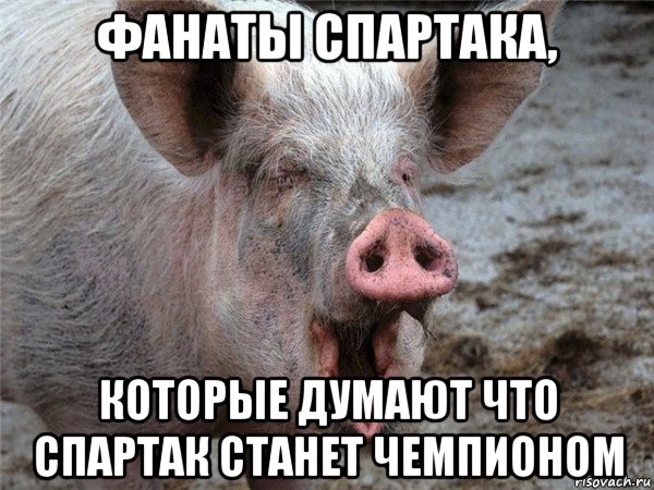 фанаты спартака, которые думают что спартак станет чемпионом